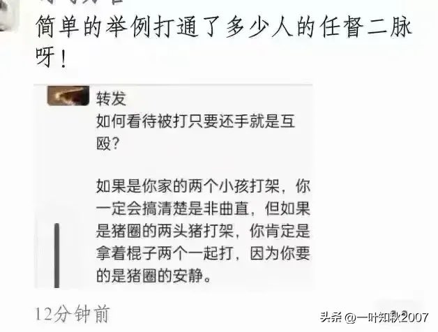 如何看待被打只要还手就是互殴