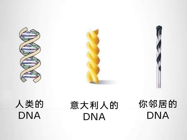 邻居的dna