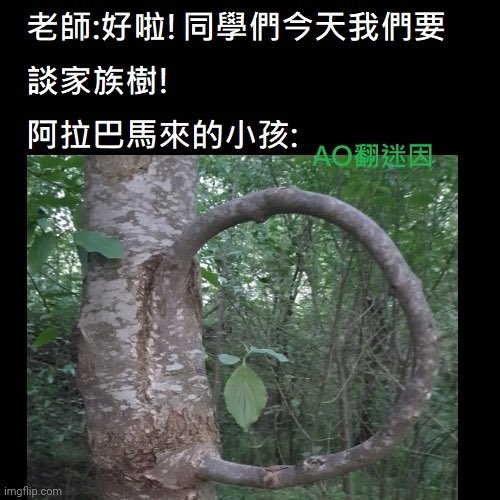 阿拉巴马的家族树
