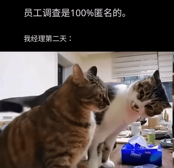 员工调查是100%匿名的.png