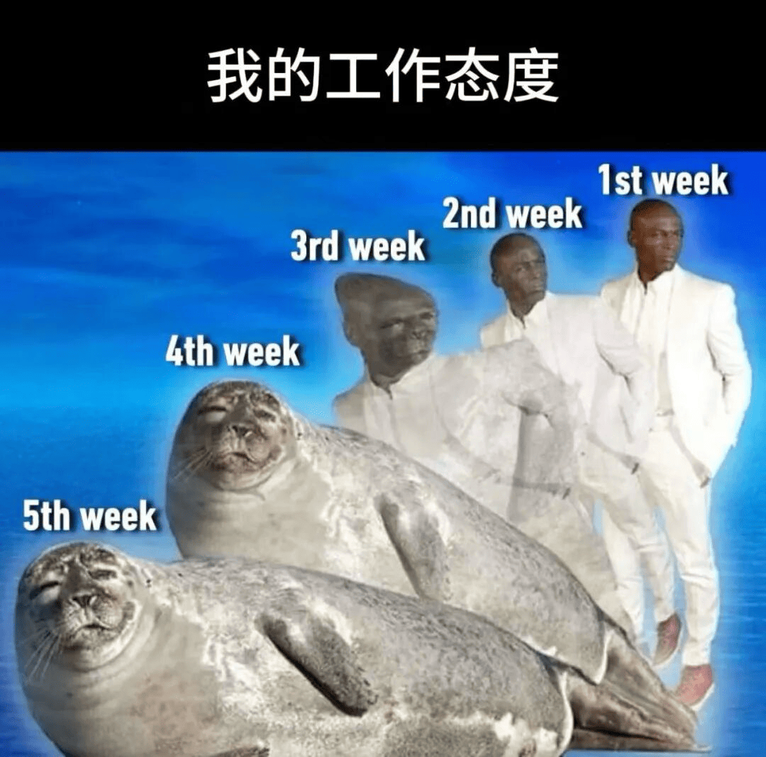 我的工作态度.png