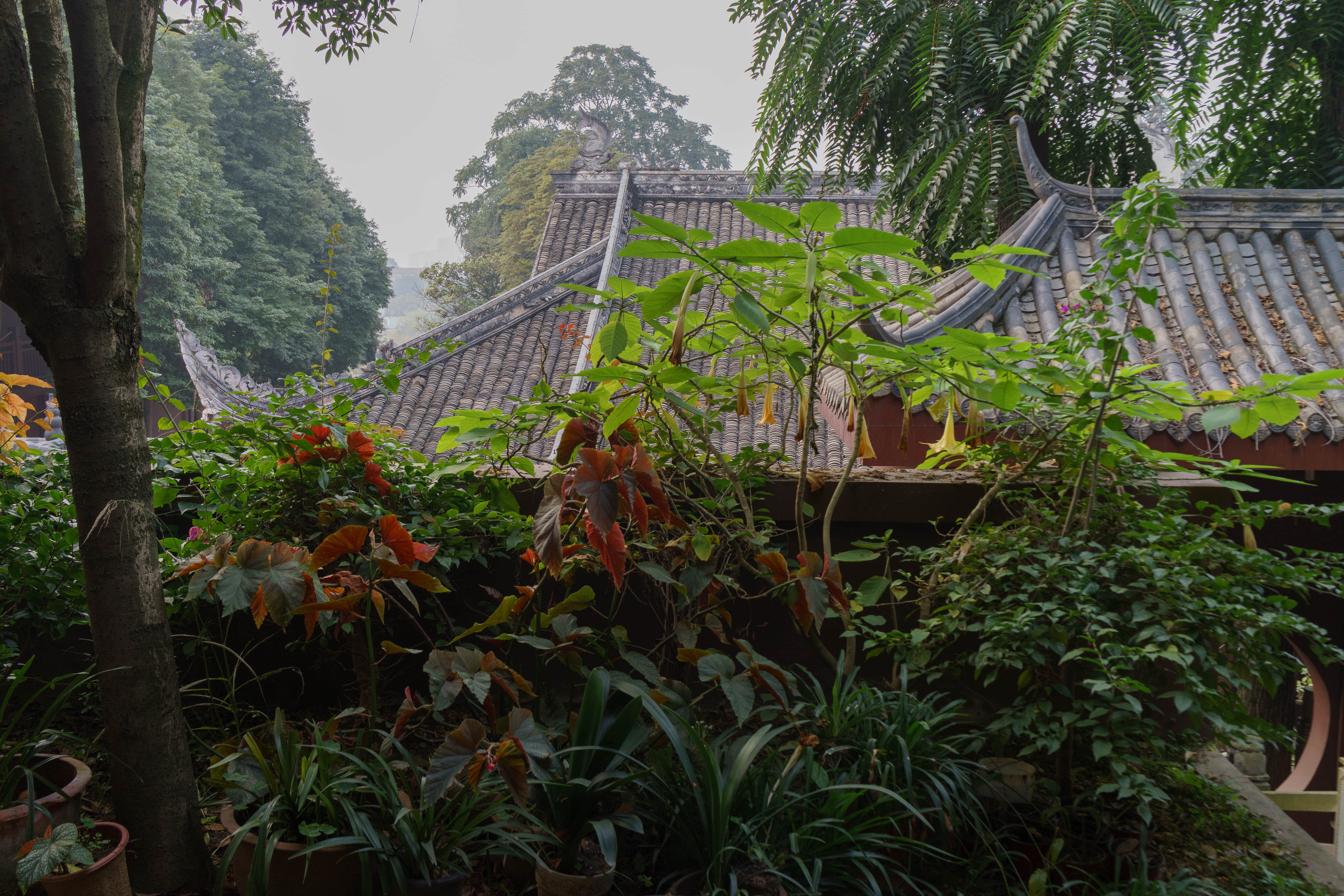 泰坦尼克音乐会