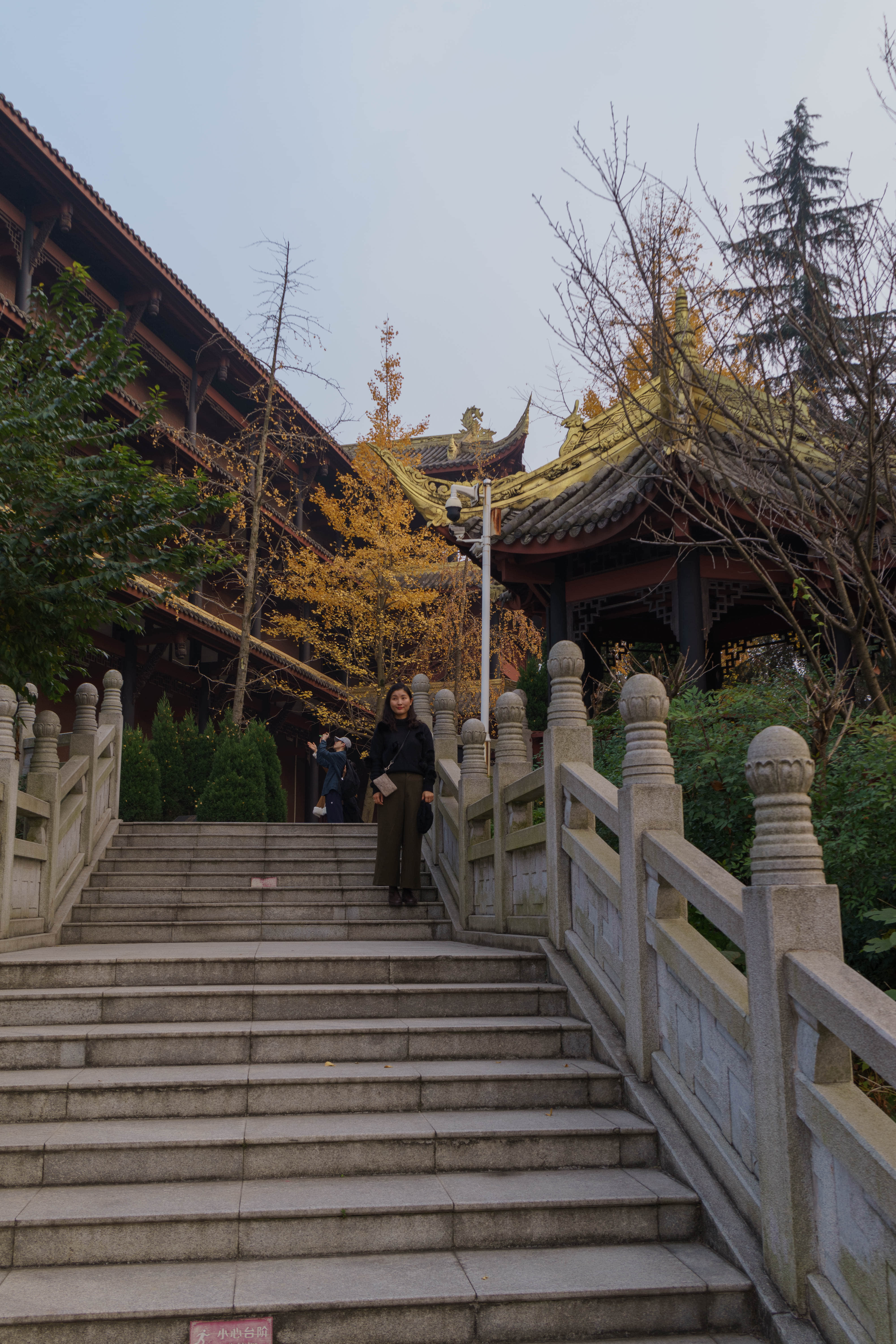 泰坦尼克音乐会