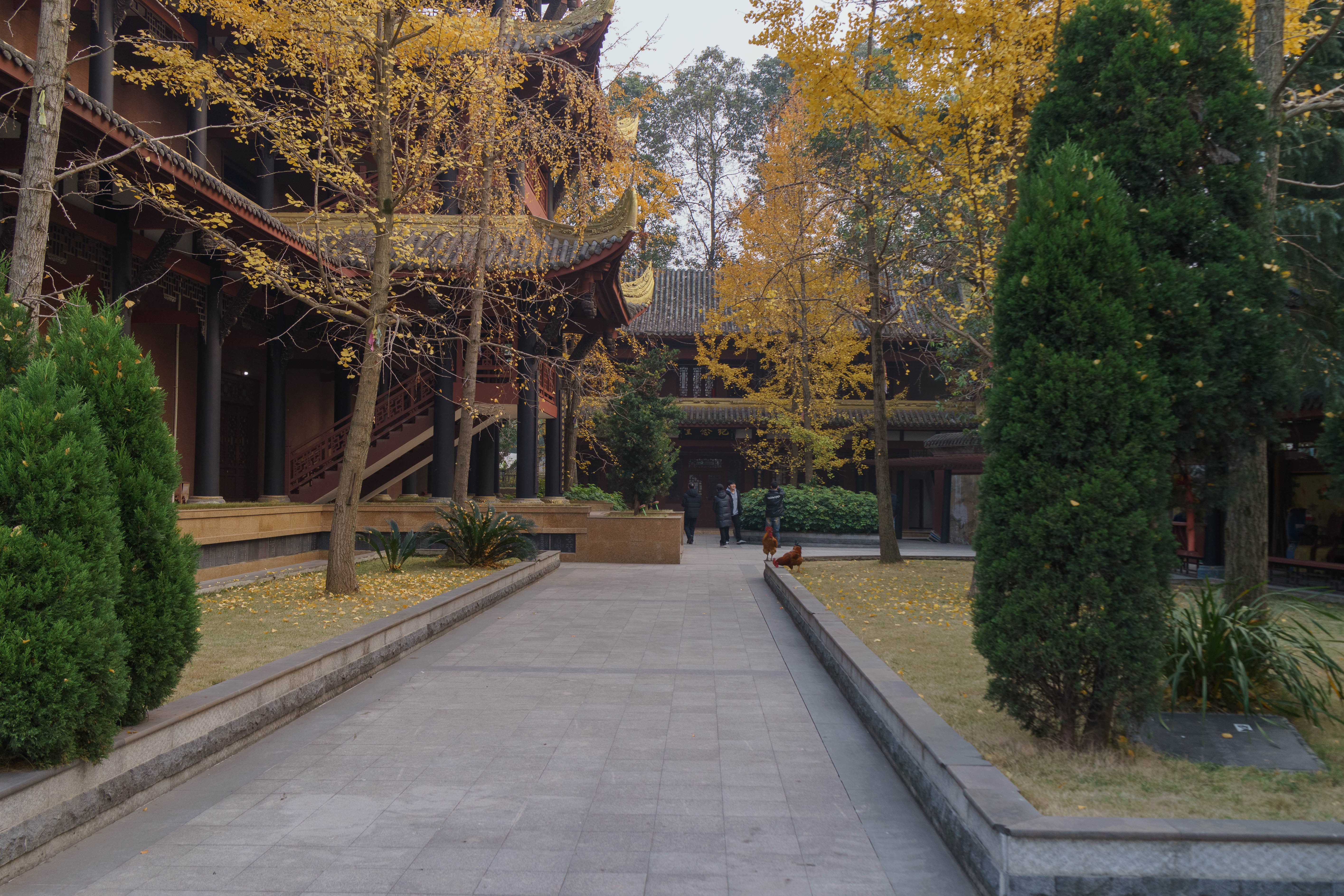 泰坦尼克音乐会