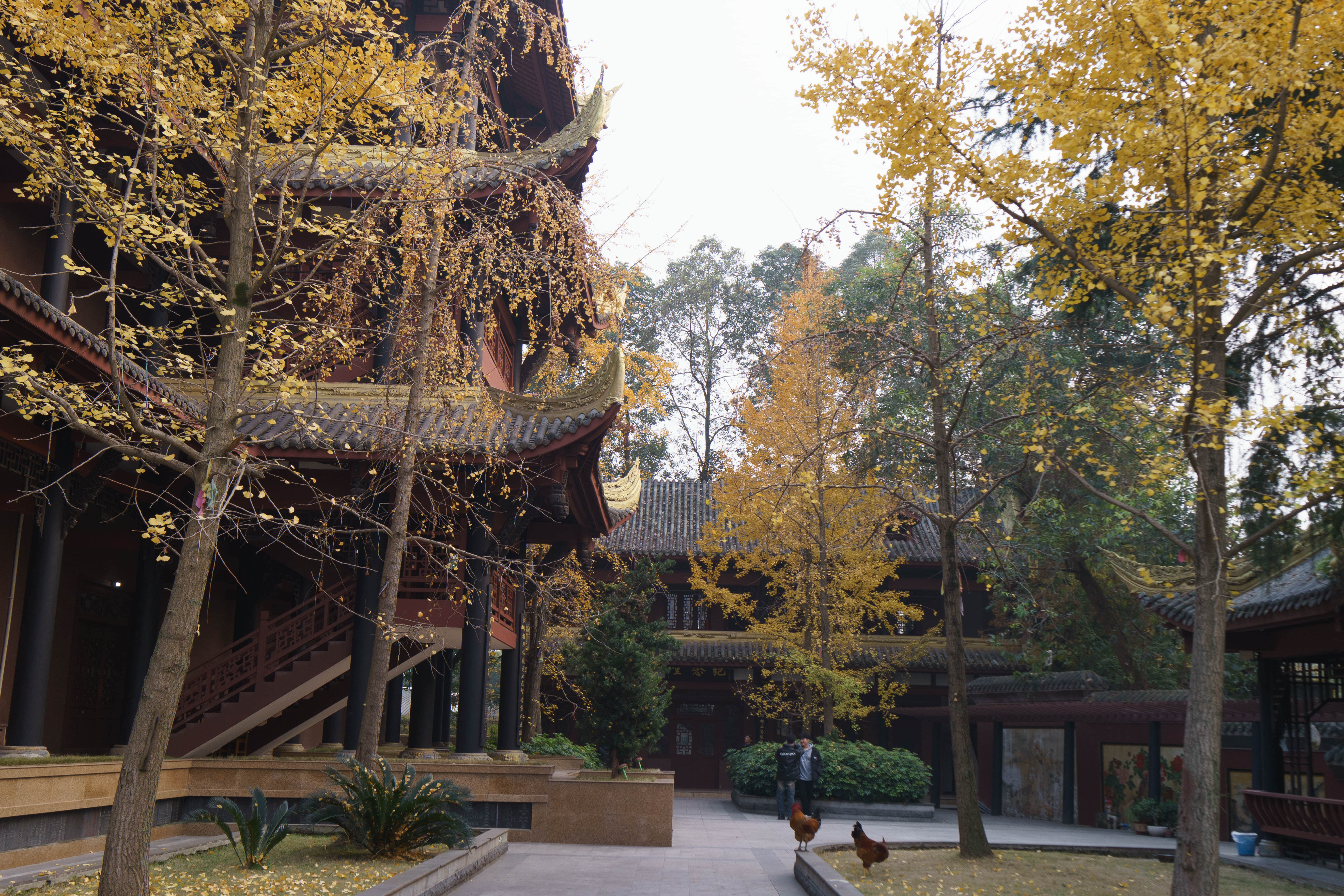 泰坦尼克音乐会