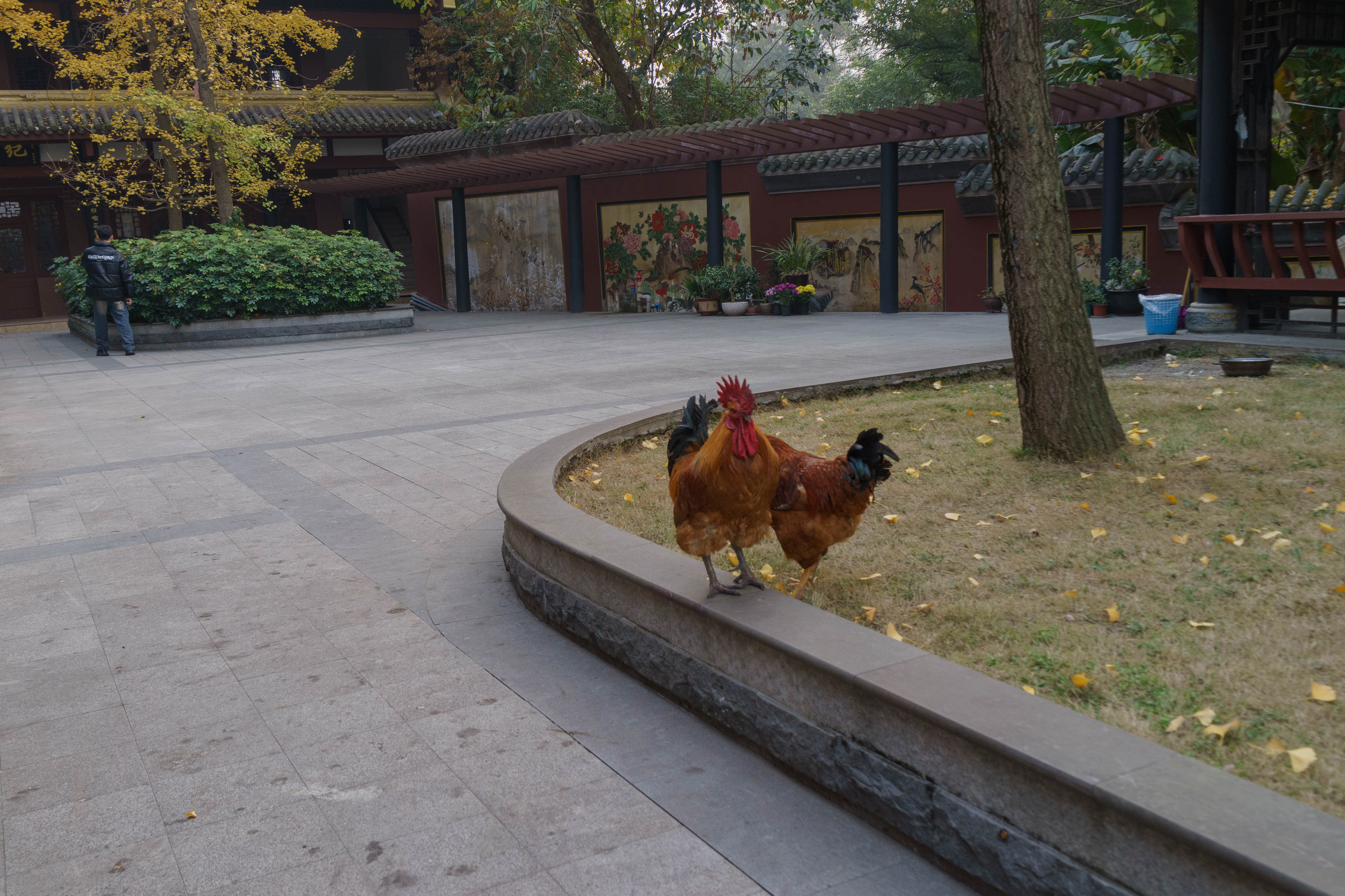 泰坦尼克音乐会