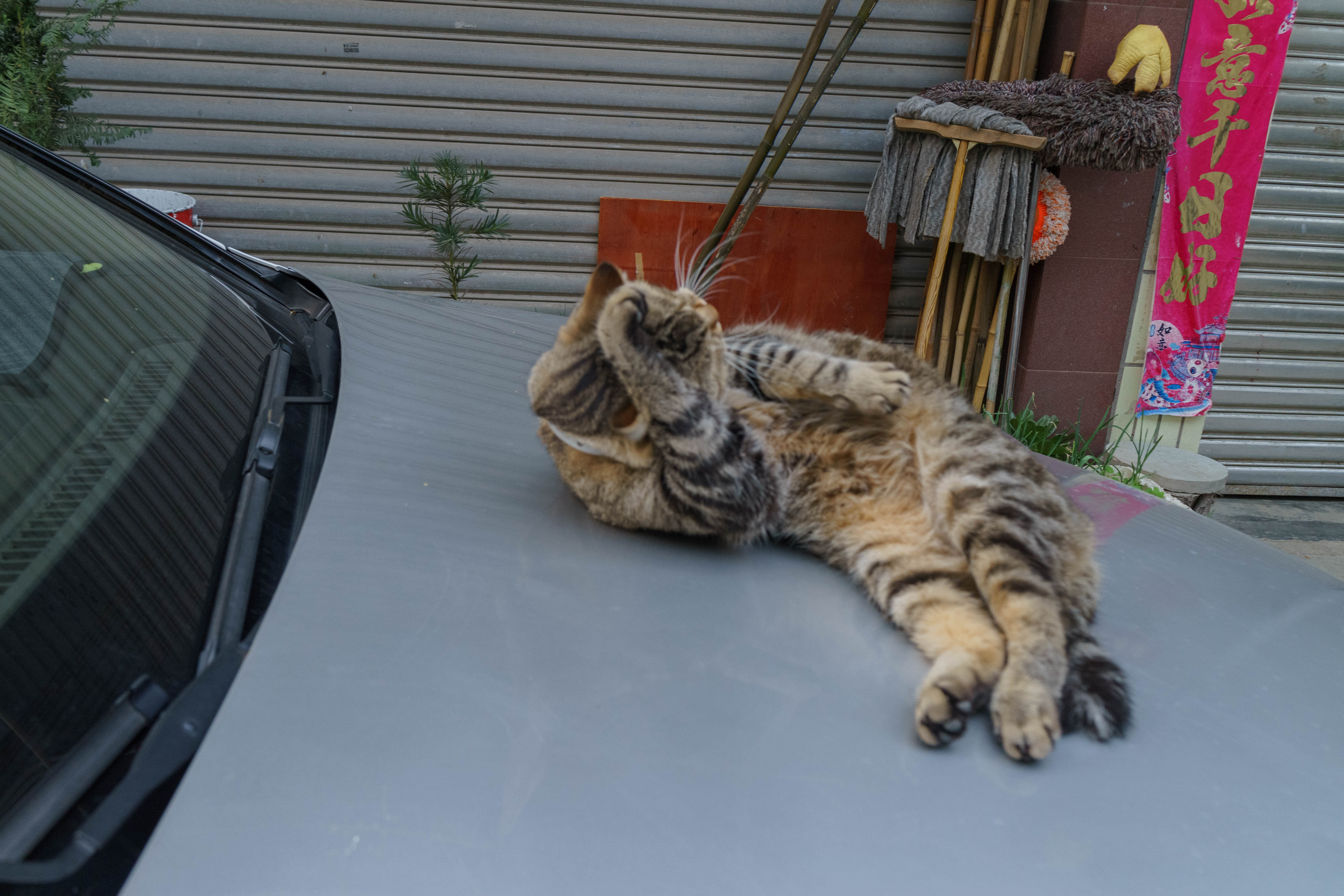 泰坦尼克音乐会