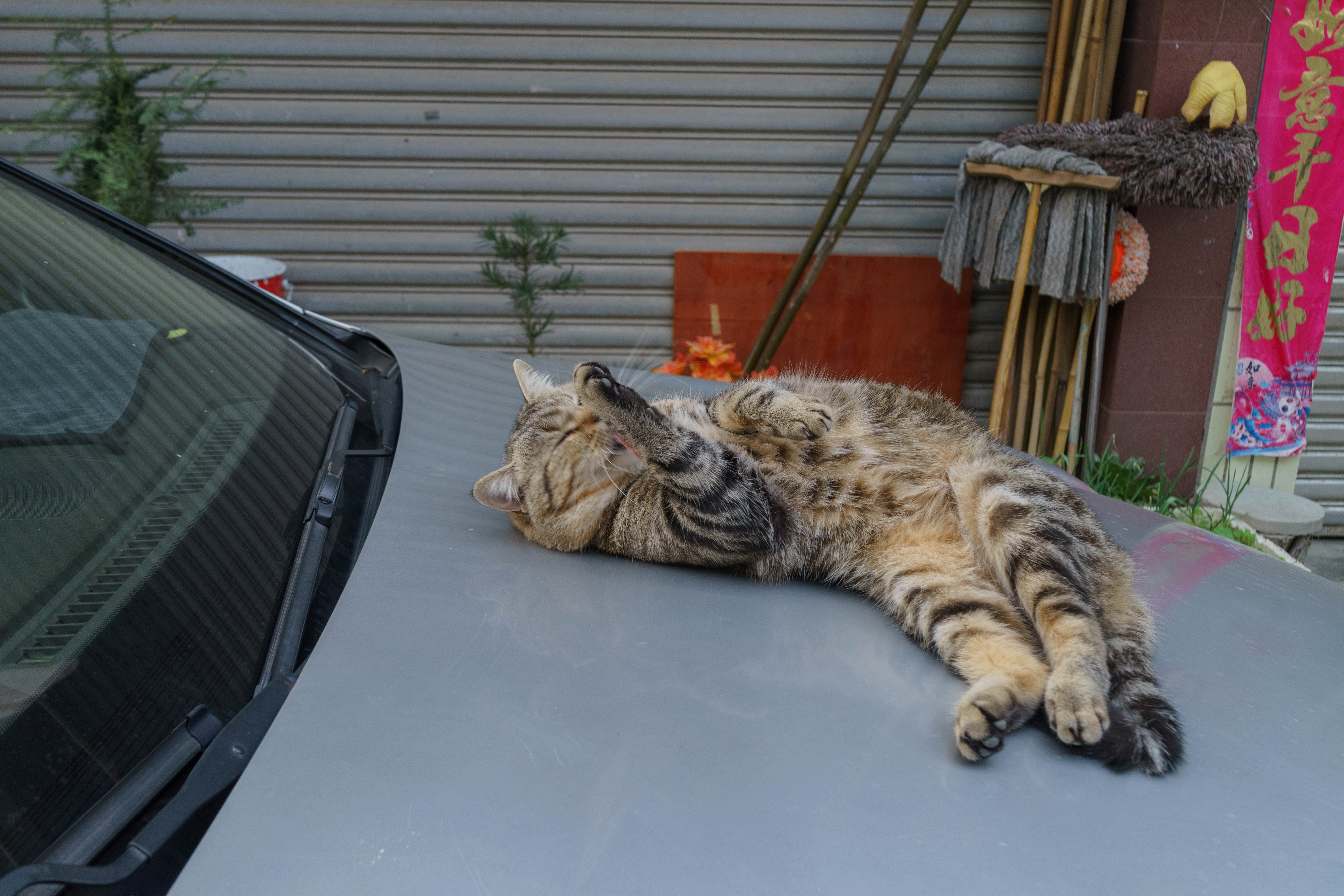 泰坦尼克音乐会