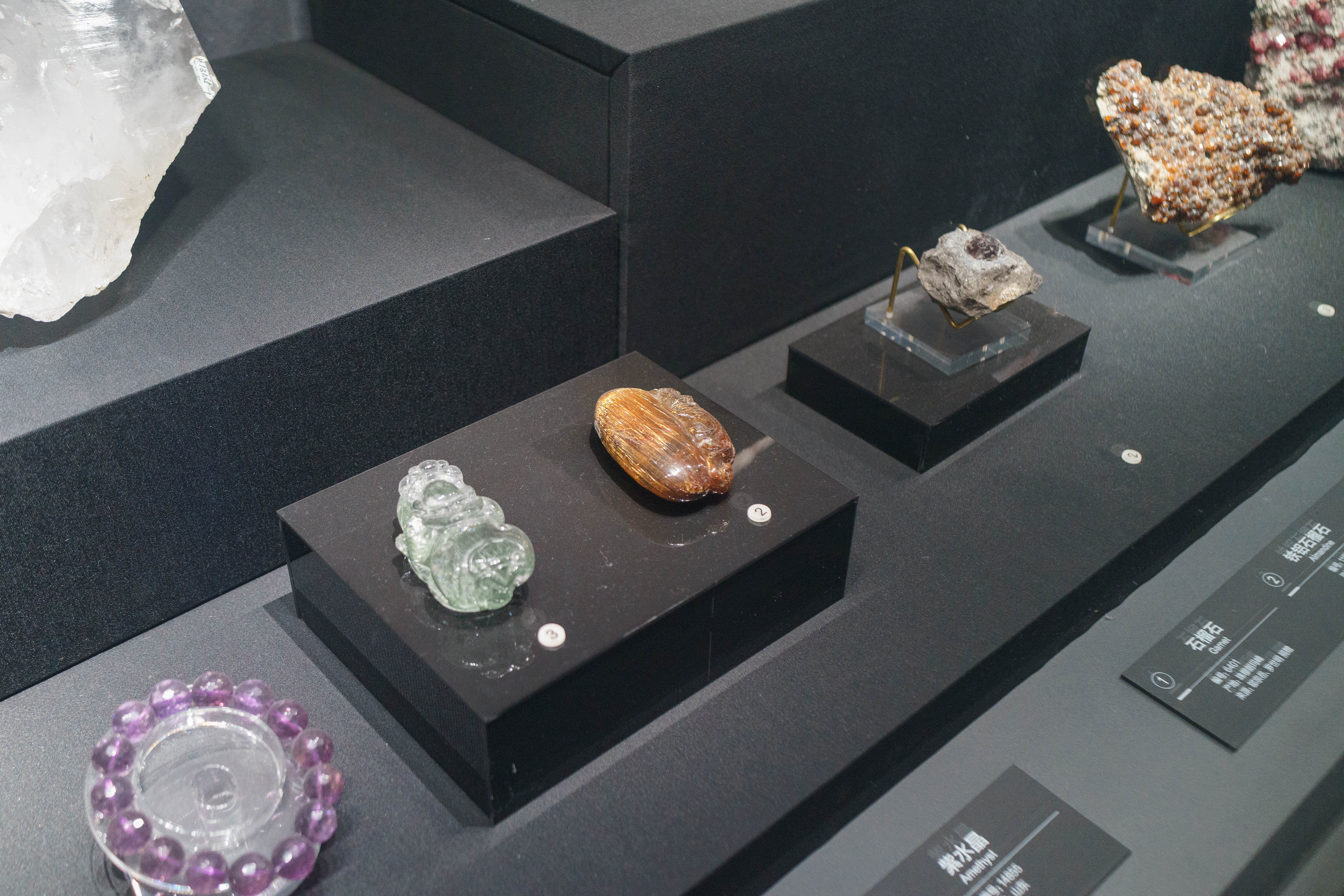 成都自然博物馆