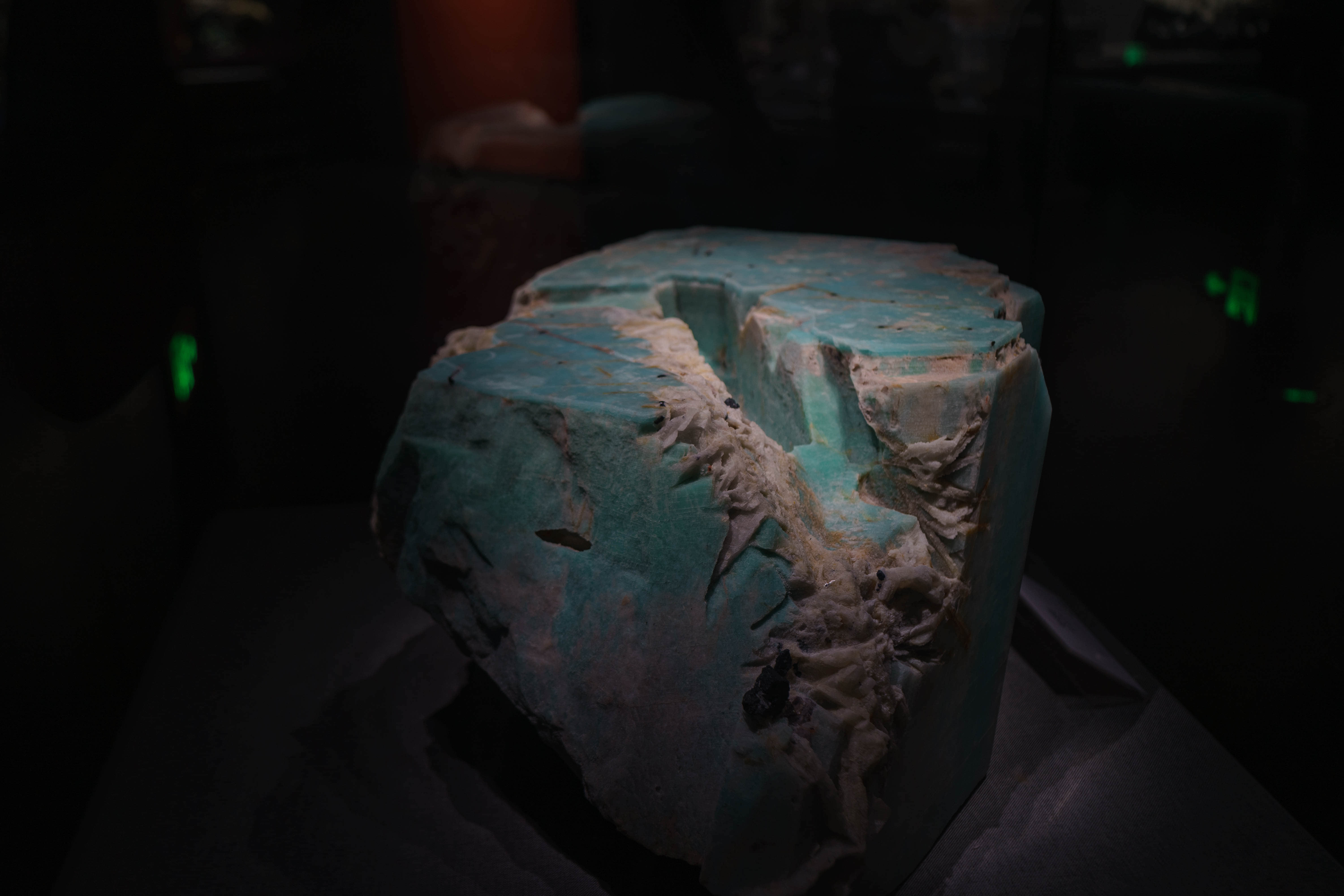 成都自然博物馆