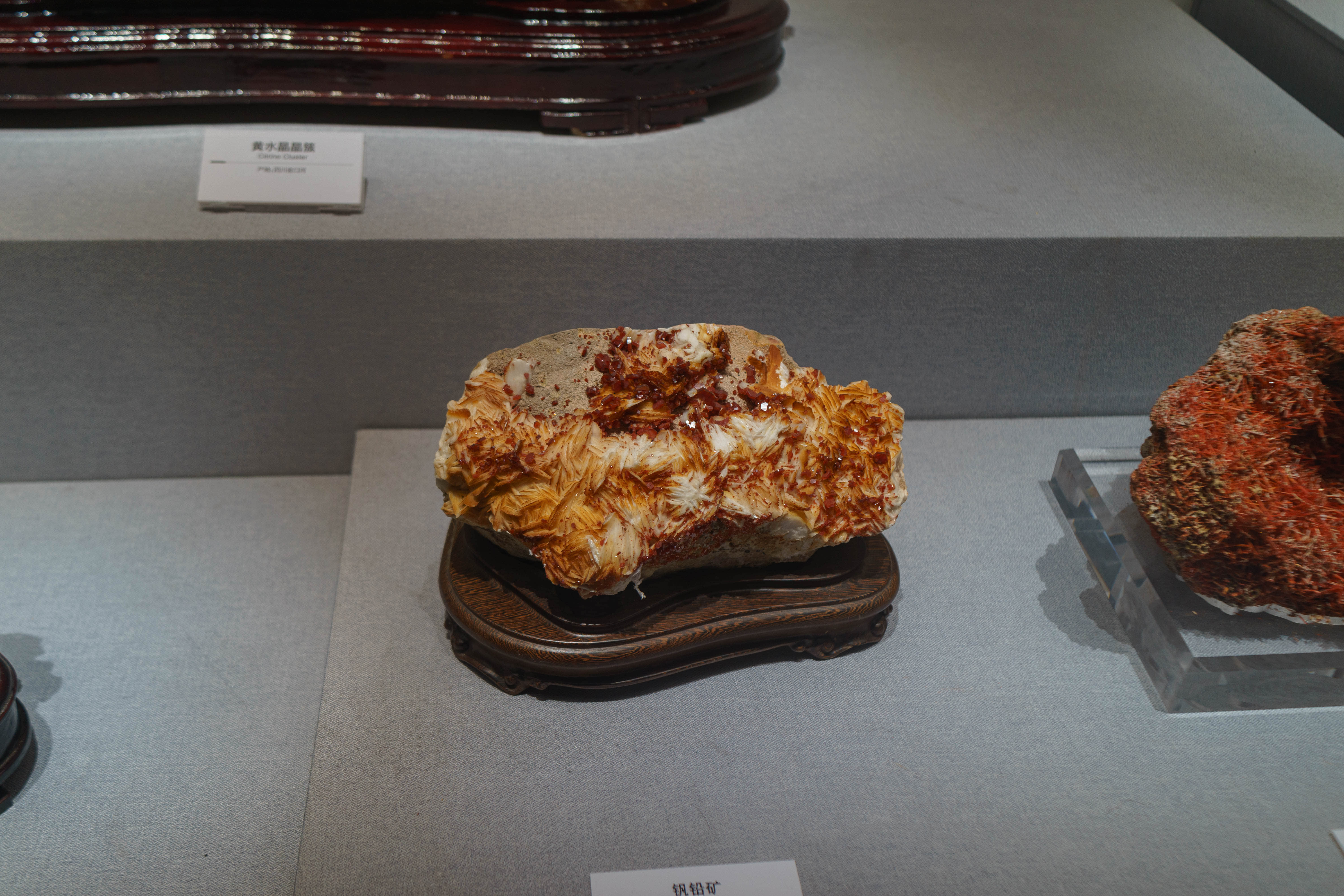 成都自然博物馆