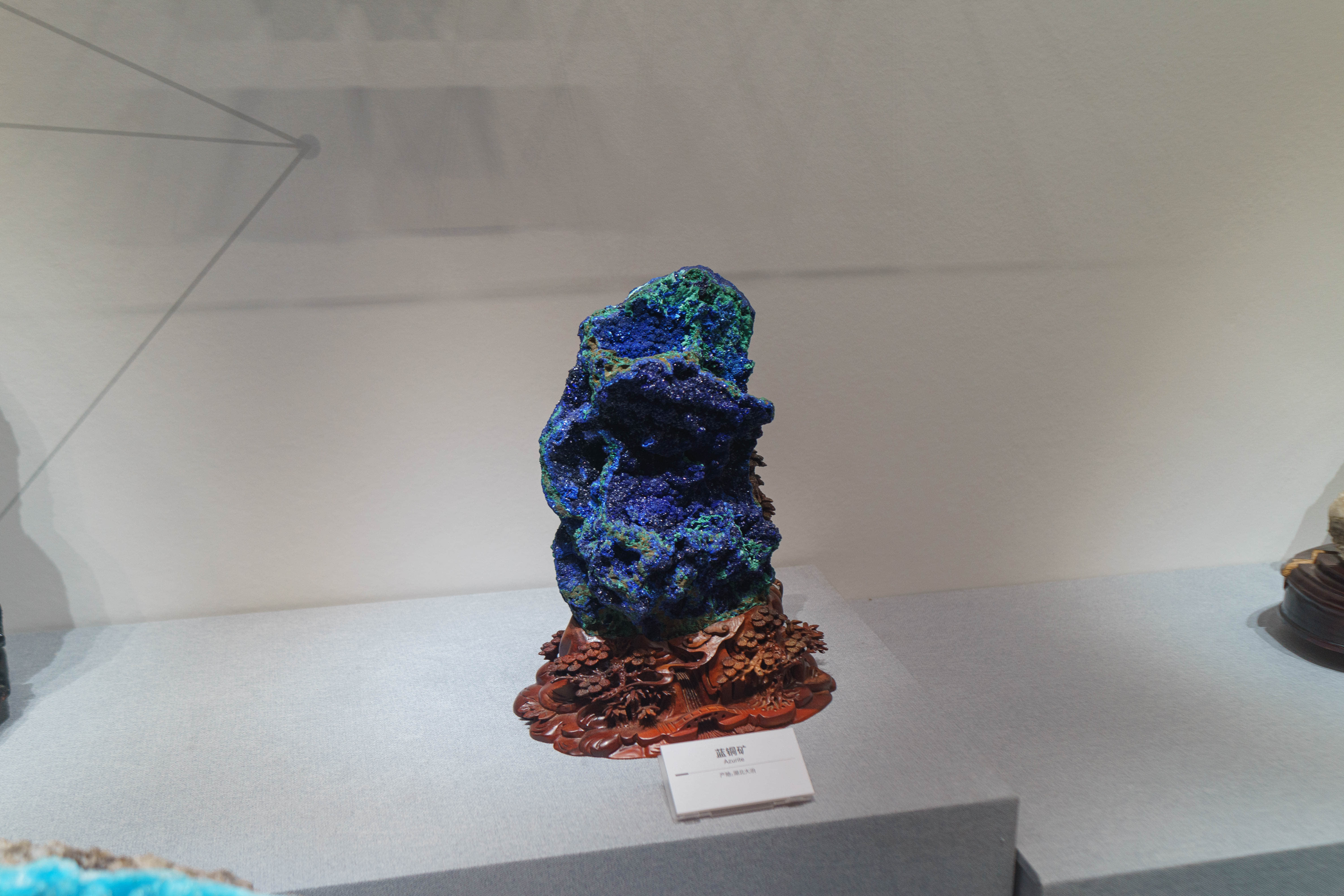 成都自然博物馆