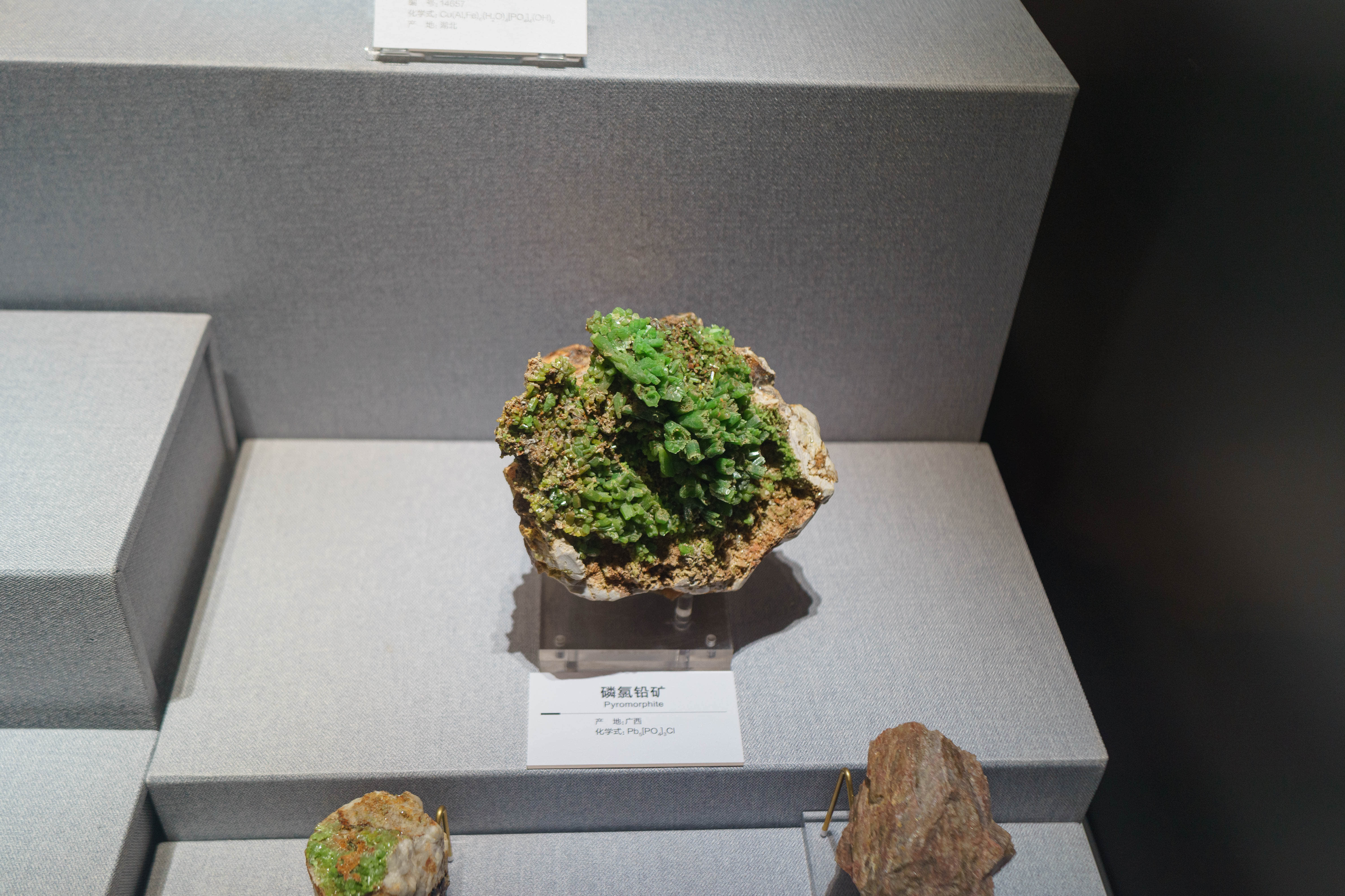 成都自然博物馆