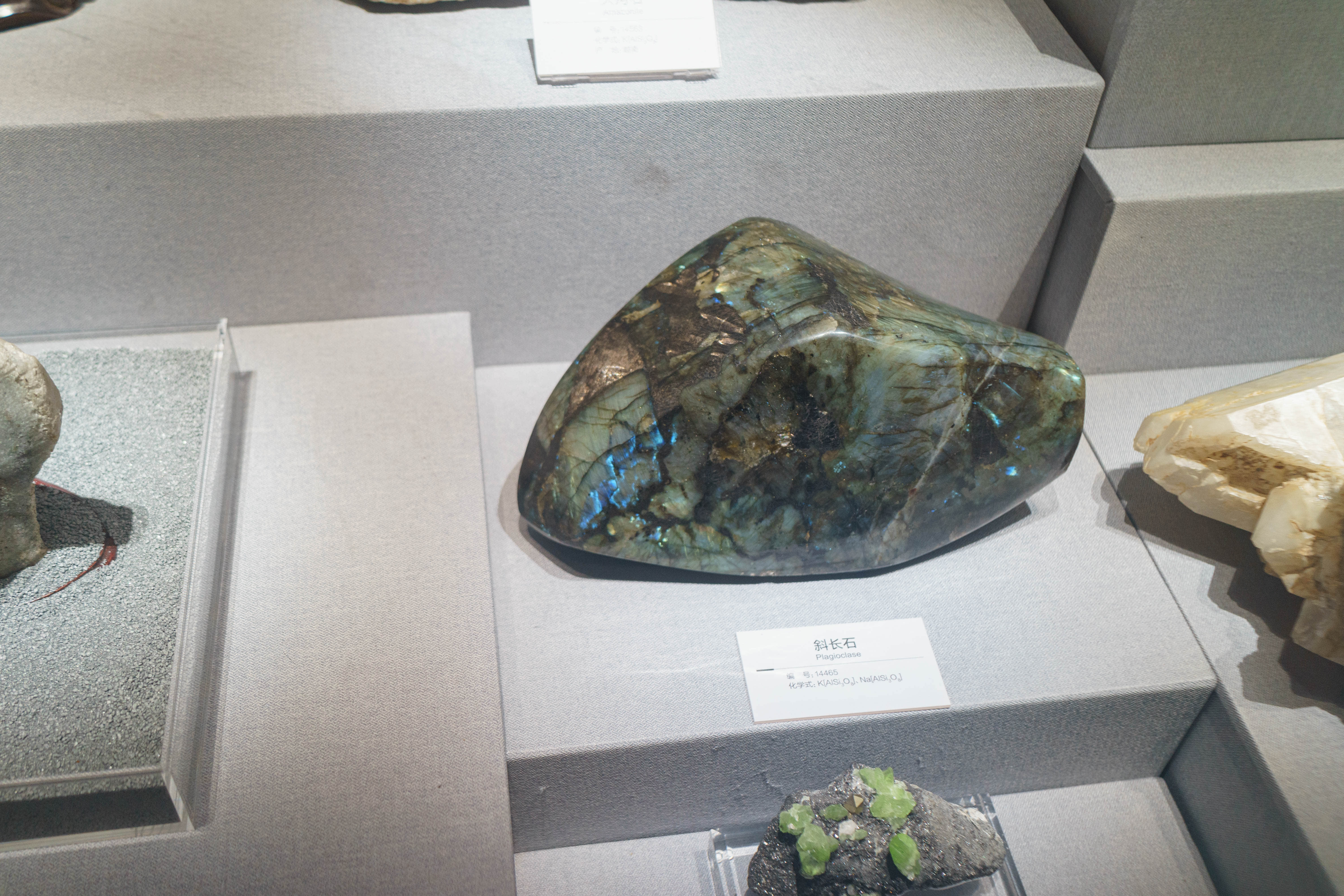 成都自然博物馆