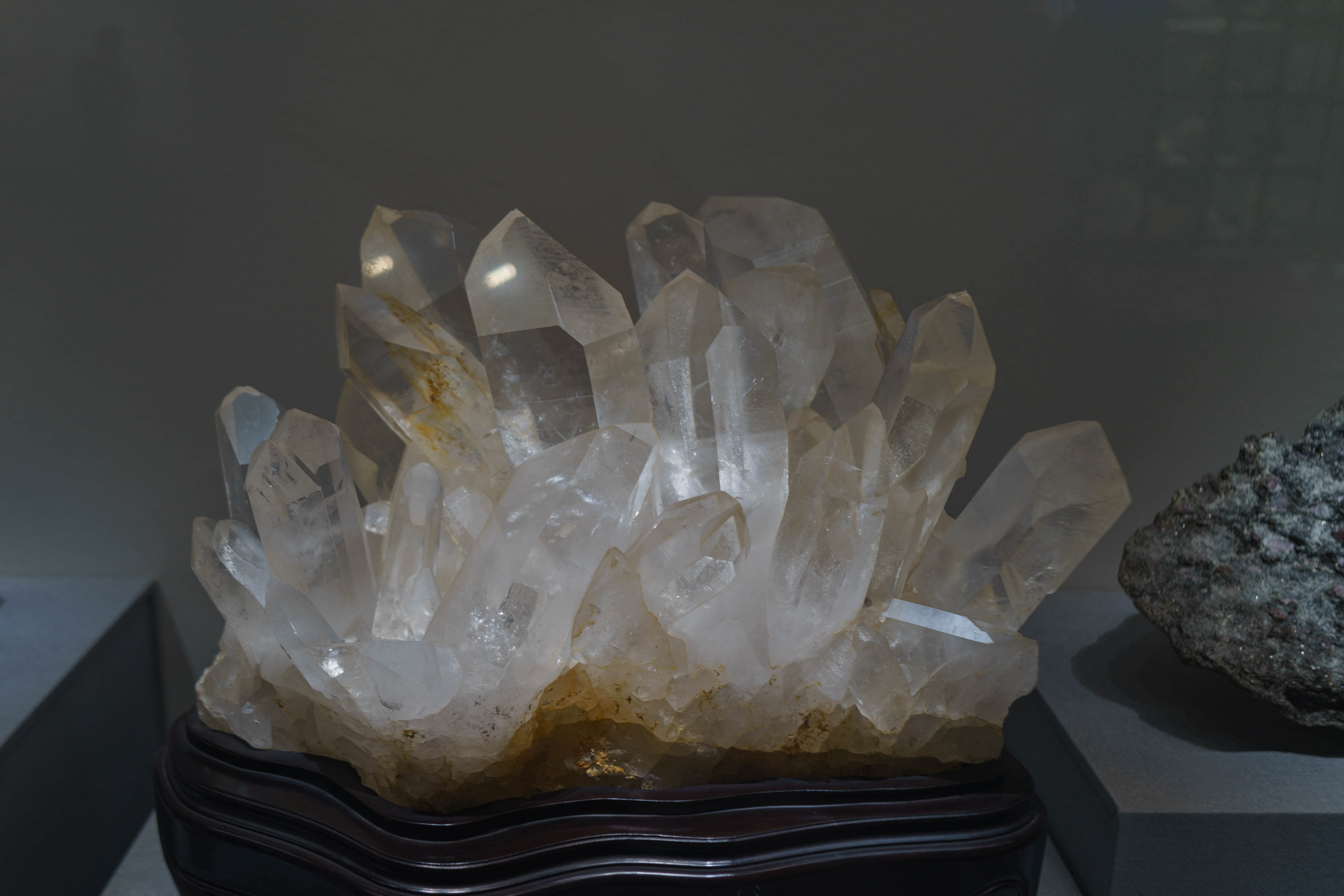 成都自然博物馆