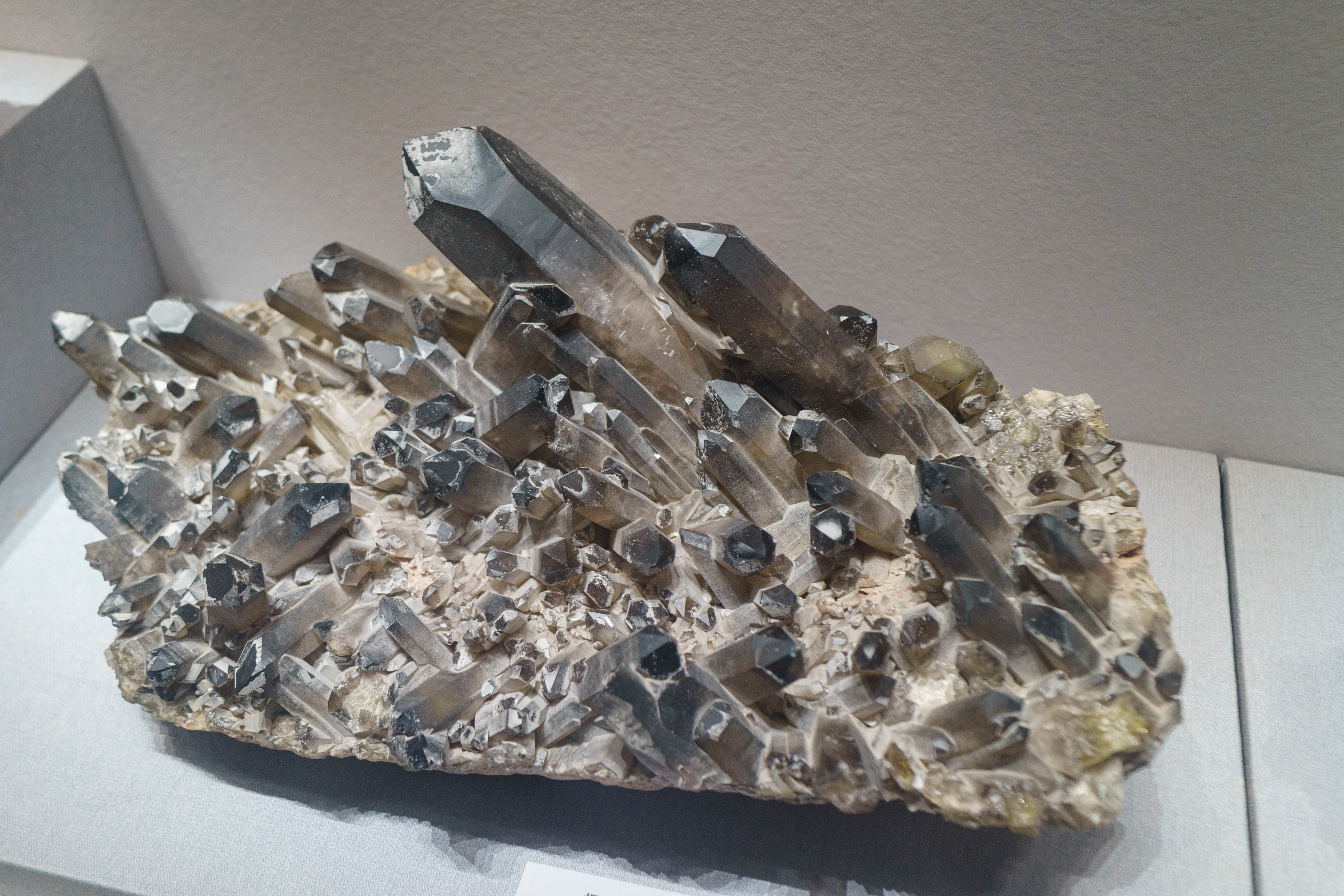 成都自然博物馆