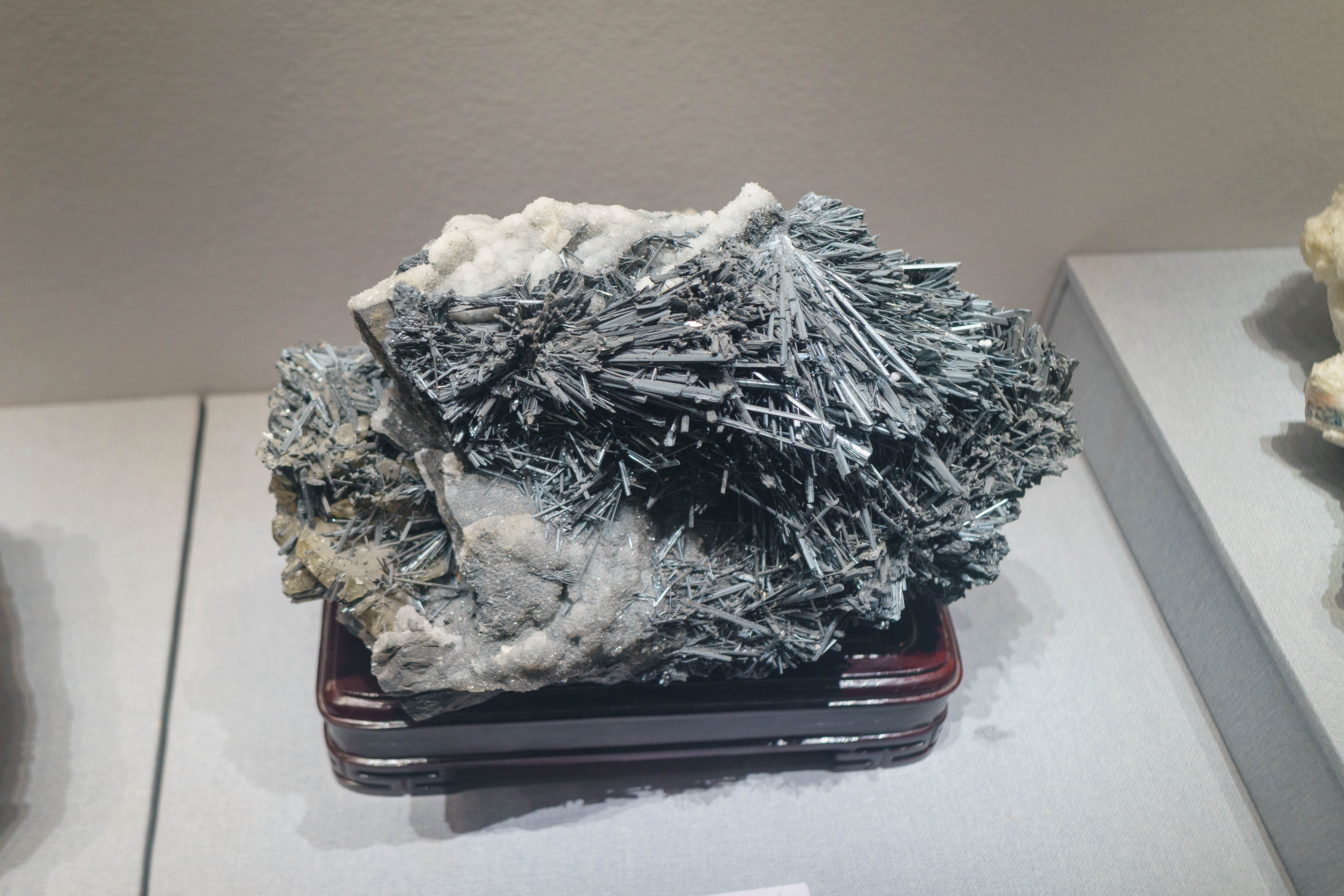 成都自然博物馆