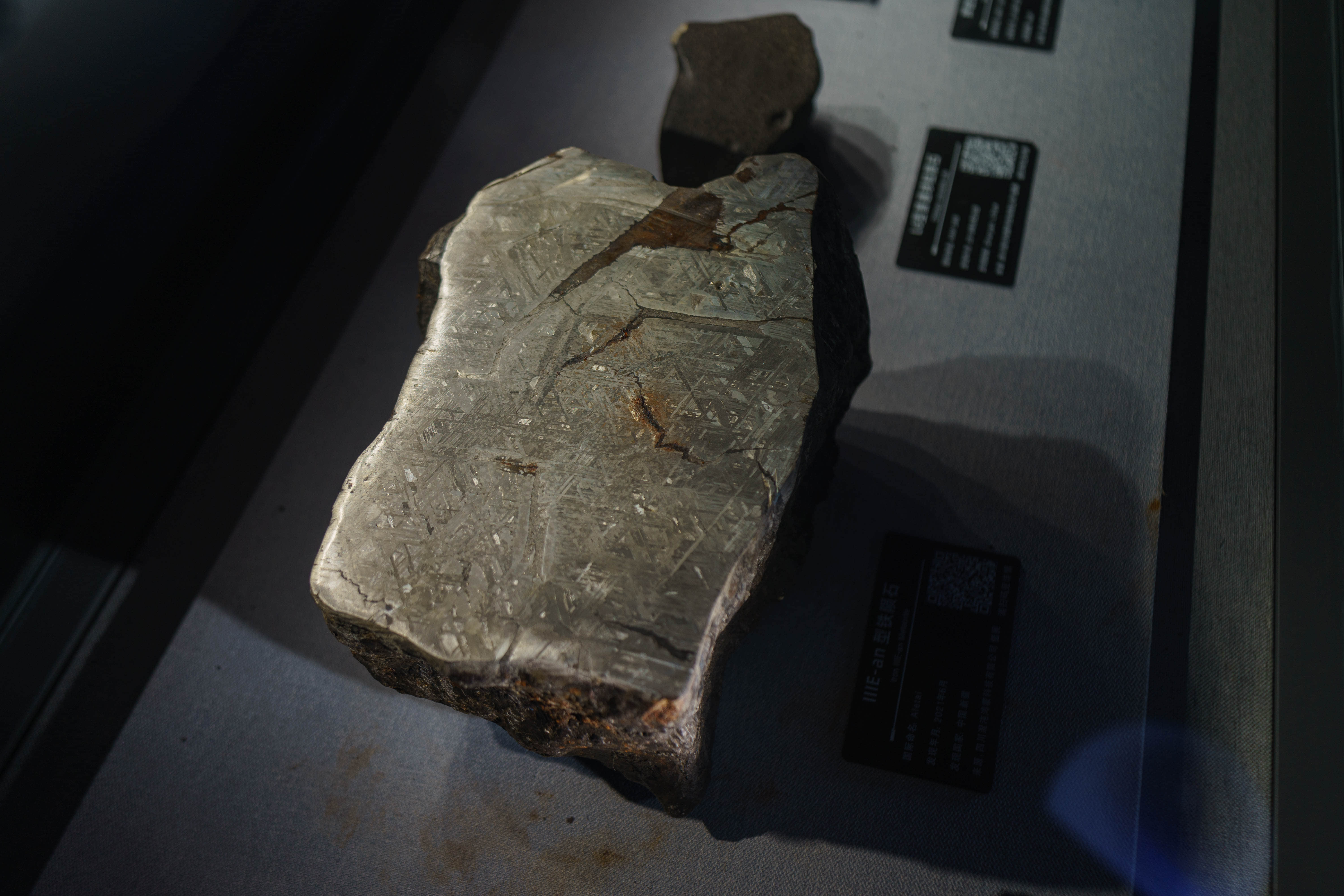 成都自然博物馆