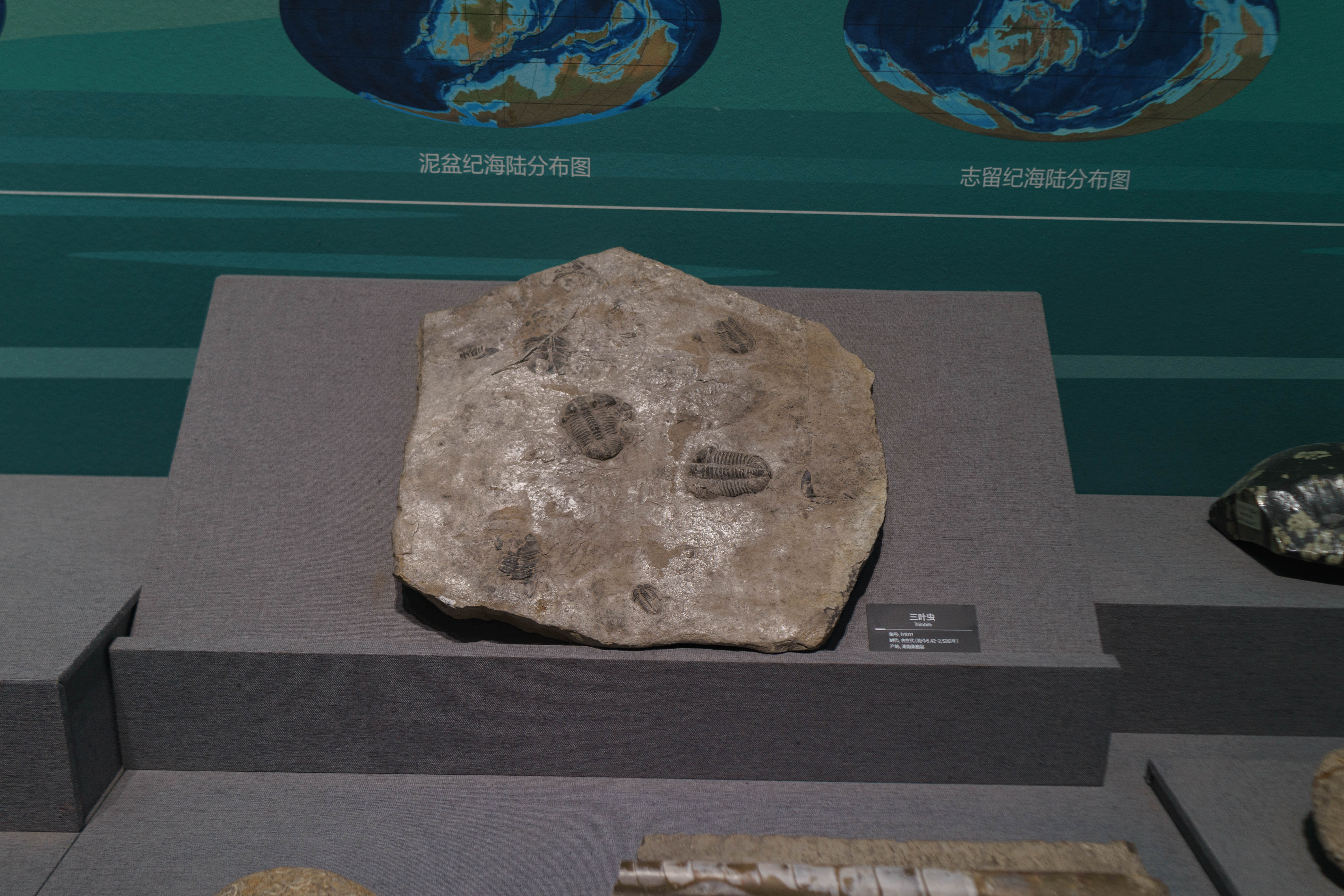 成都自然博物馆