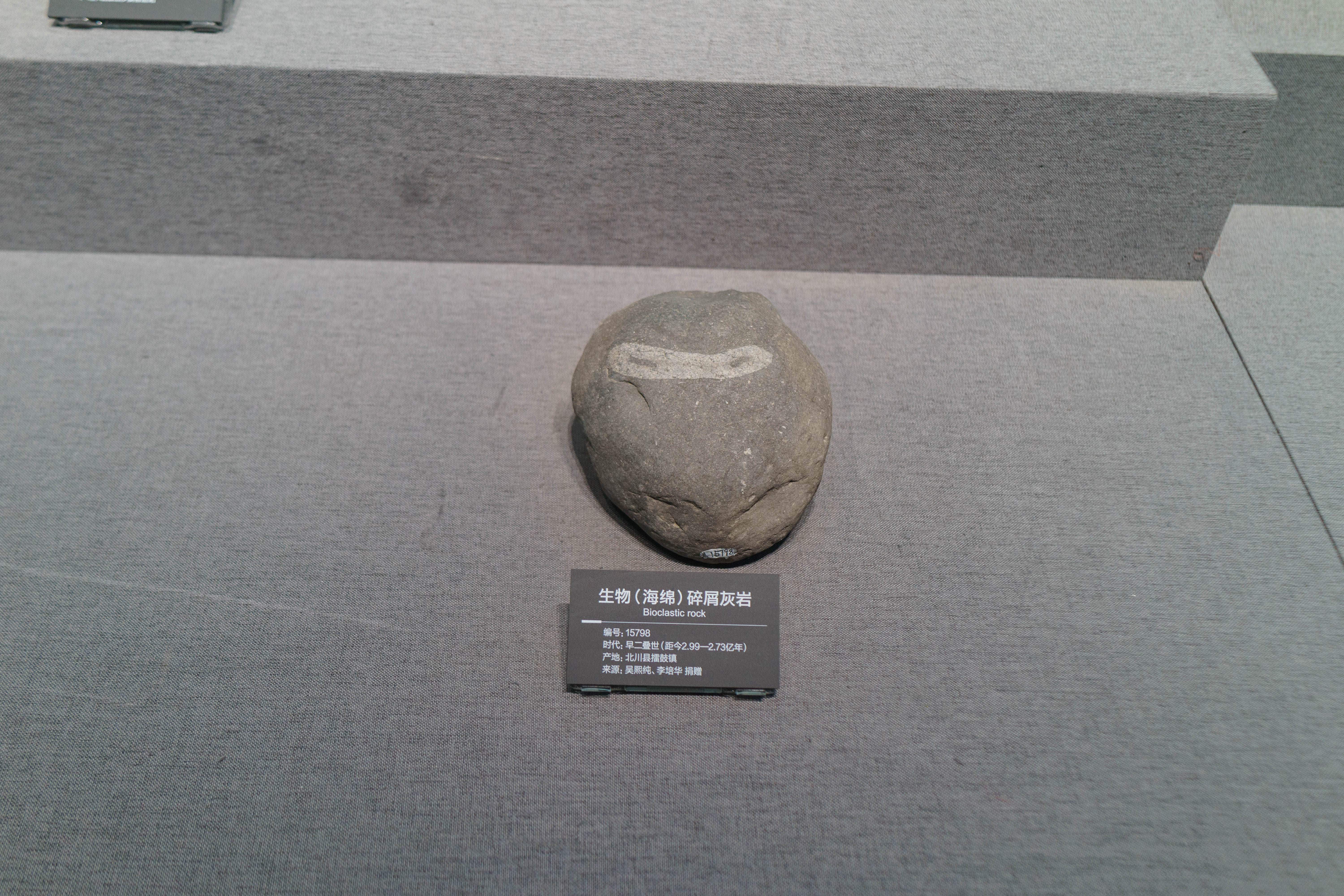 成都自然博物馆