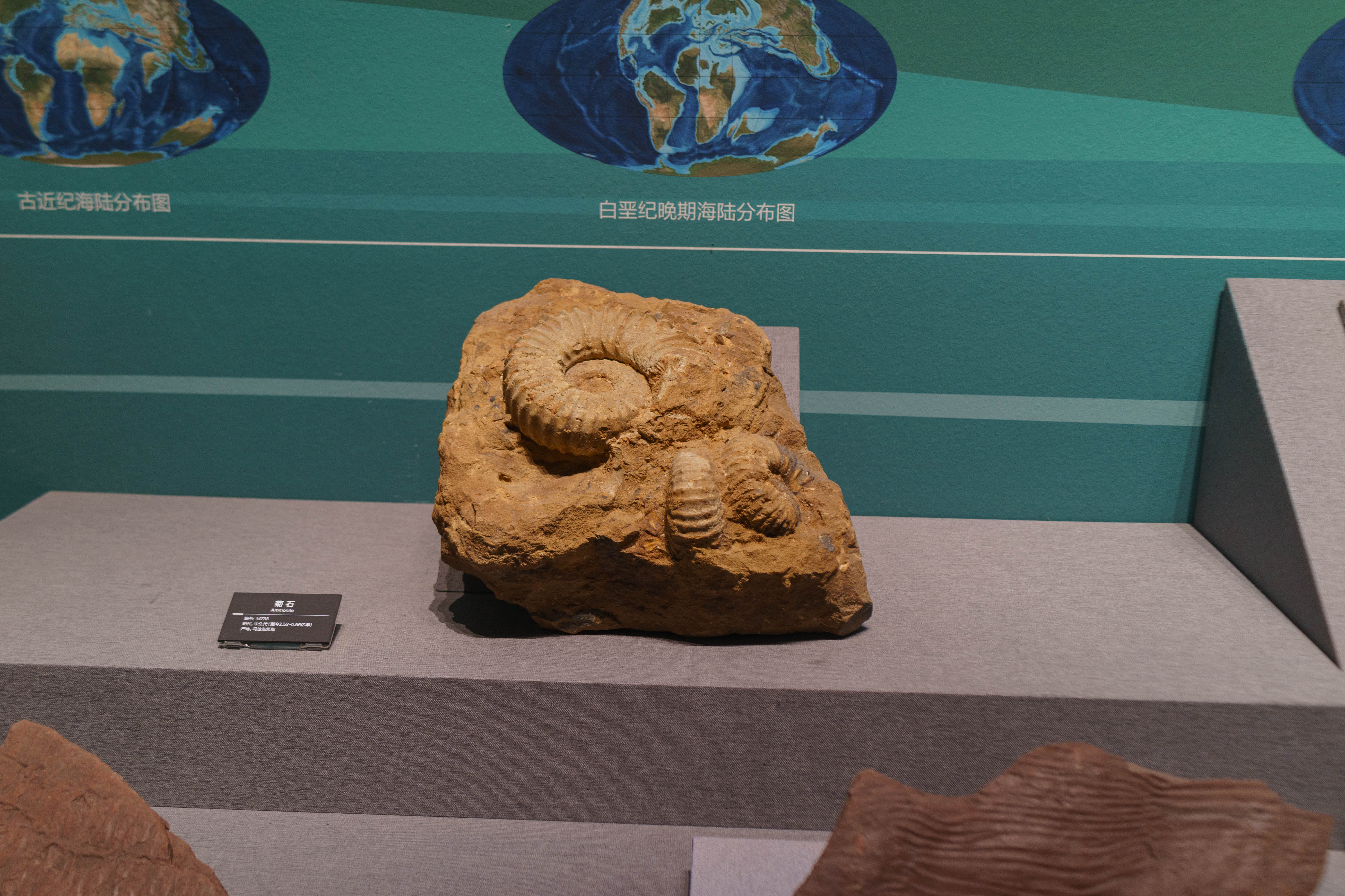 成都自然博物馆