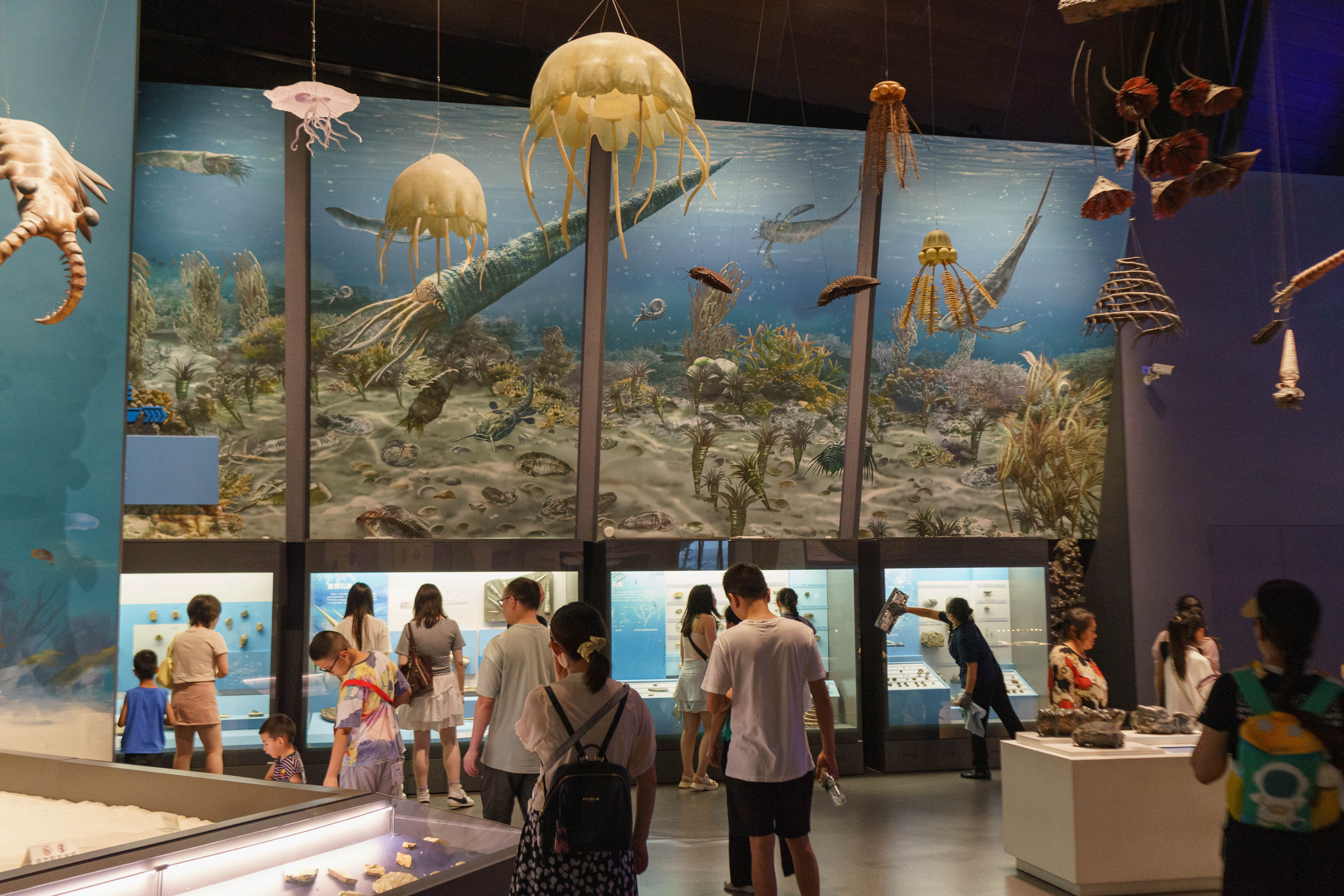 成都自然博物馆