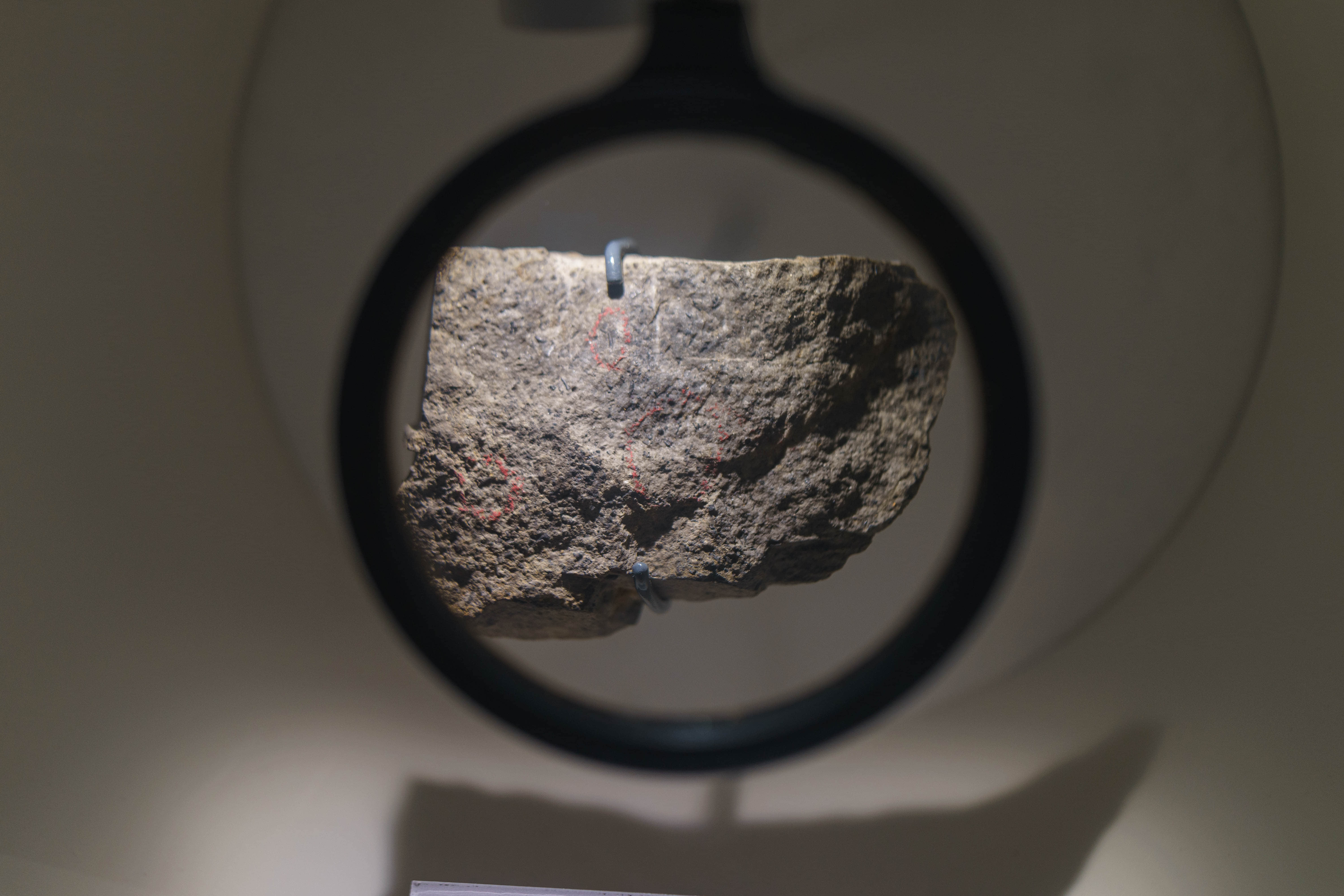 成都自然博物馆