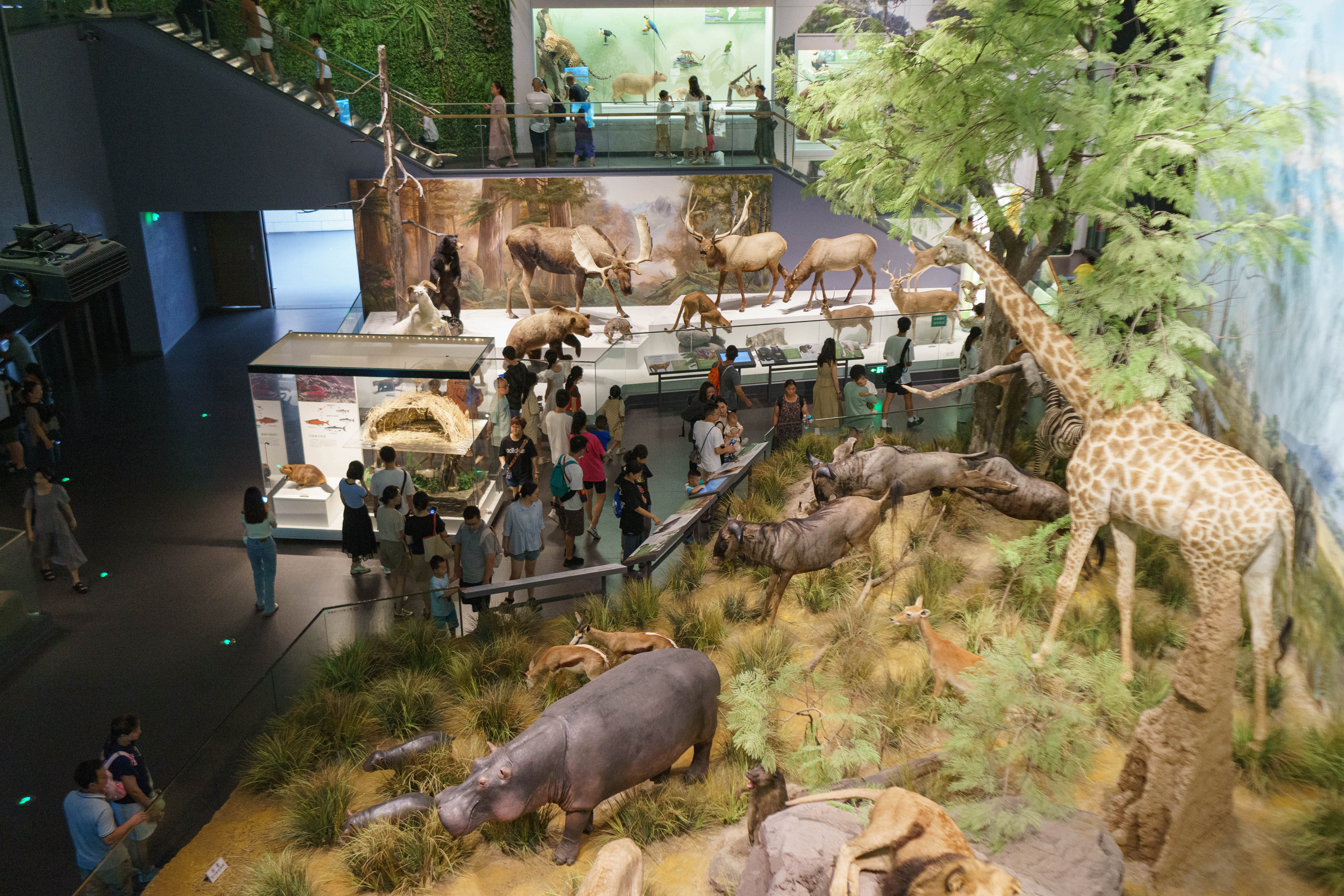 成都自然博物馆