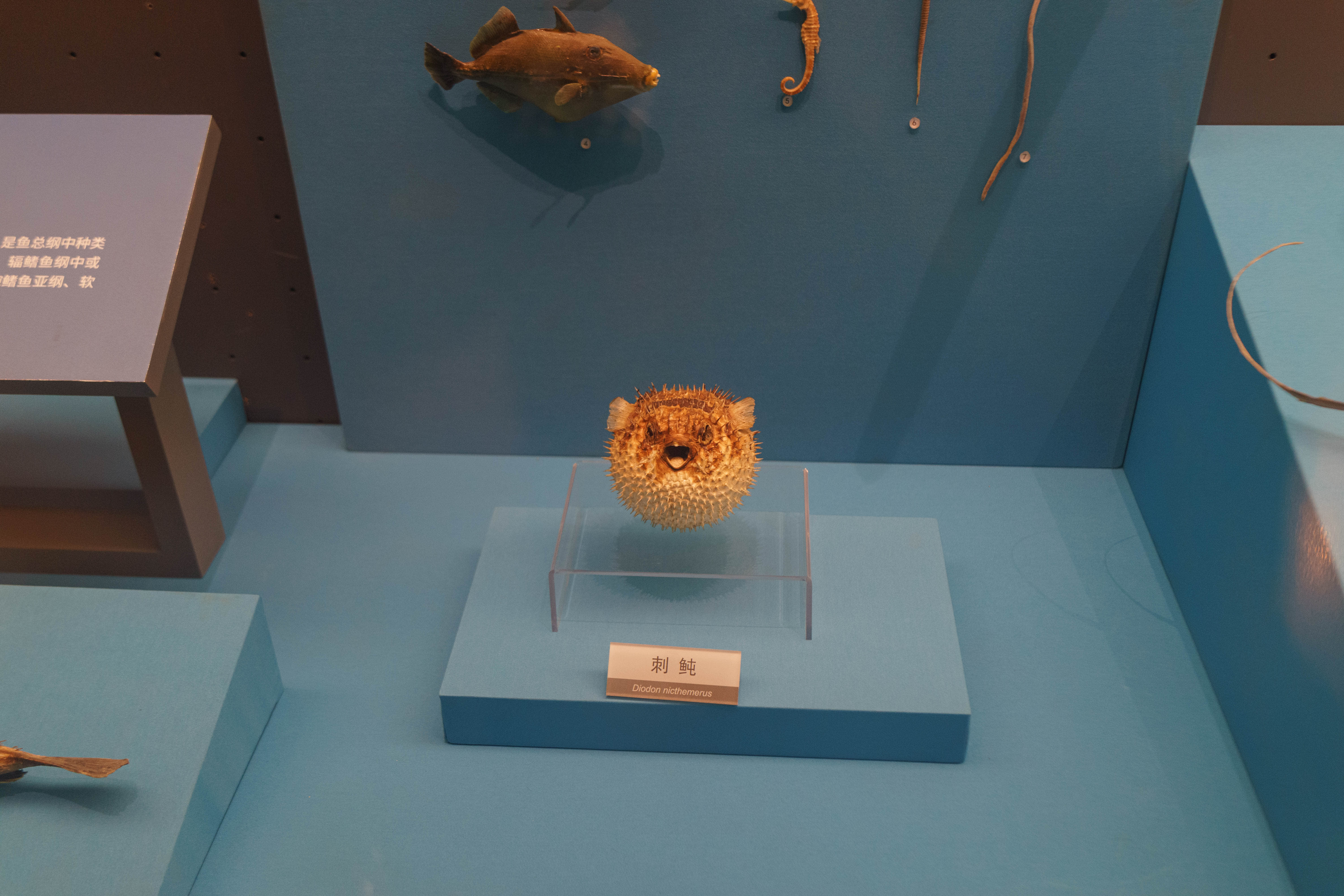 成都自然博物馆